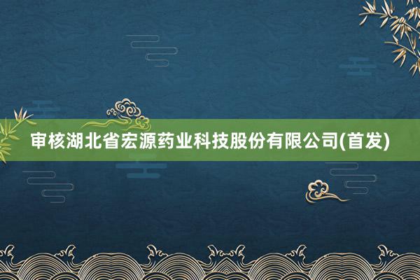 审核湖北省宏源药业科技股份有限公司(首发)